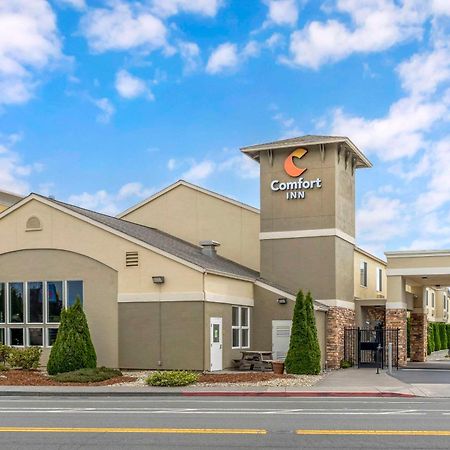 Comfort Inn Арката Екстериор снимка